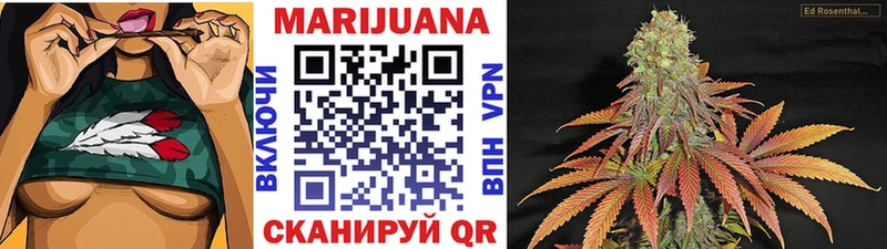 Где купить Грязовец Псилоцибиновые грибы Марихуана КОКАИН МЕГА как зайти Меф мяу мяу Гашиш A PVP
