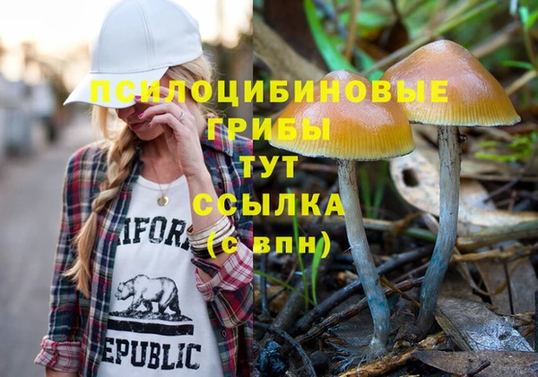 мдпв Семилуки